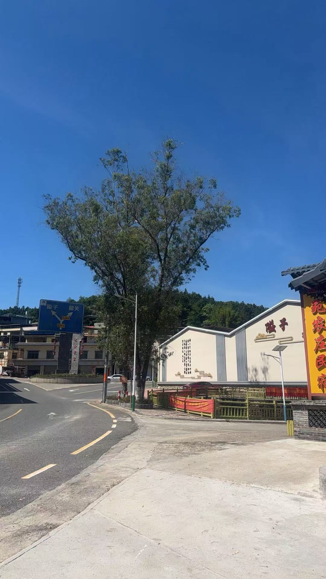 龙苑农庄民宿正门与隘子欢迎您路标